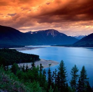 Vein Surgery – Phoenix AZ